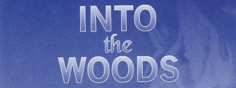 Into The Woods (2005)